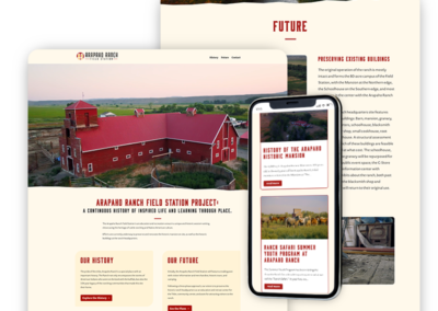 Website for a Historic Preservation Project
