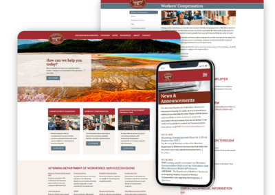 Website and Content Migration for Wyoming Agency