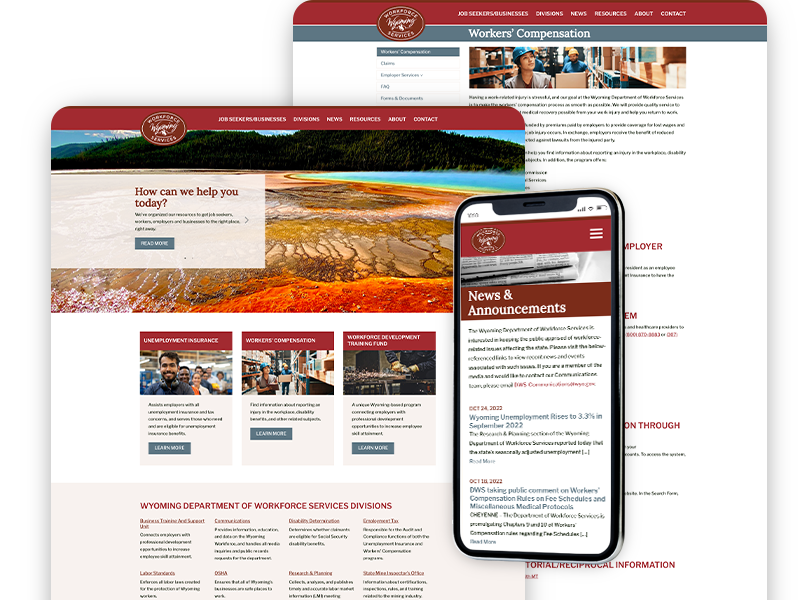 Website and Content Migration for Wyoming Agency